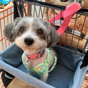 Meet your Posher, Sonia